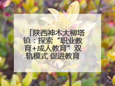 陕西神木大柳塔镇：探索“职业教育+成人教育”双轨模式 促进教育融合发展