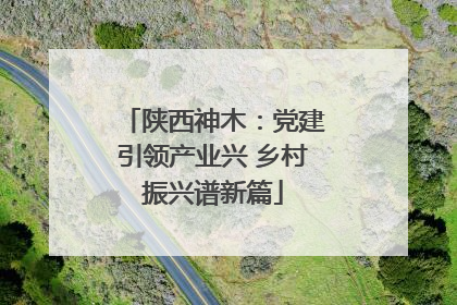 陕西神木：党建引领产业兴 乡村振兴谱新篇