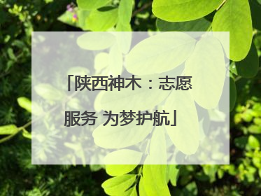 陕西神木：志愿服务 为梦护航