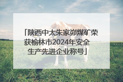 陕西中太朱家峁煤矿荣获榆林市2024年安全生产先进企业称号