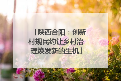 陕西合阳：创新村规民约让乡村治理焕发新的生机