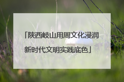 陕西岐山用周文化浸润新时代文明实践底色