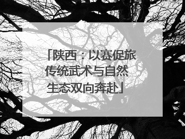 陕西：以赛促旅 传统武术与自然生态双向奔赴
