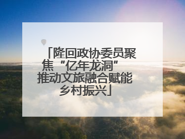 隆回政协委员聚焦“亿年龙洞” 推动文旅融合赋能乡村振兴