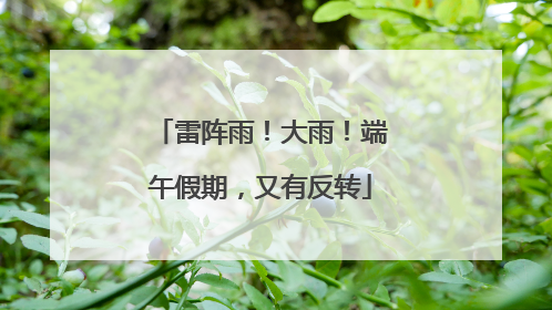 雷阵雨！大雨！端午假期，又有反转