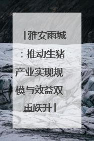 雅安雨城：推动生猪产业实现规模与效益双重跃升