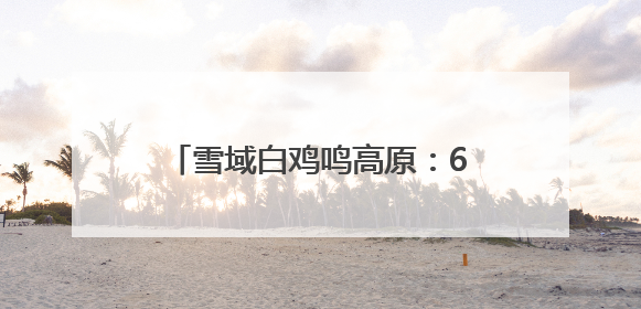 雪域白鸡鸣高原：6代科研人用62年孵化出了“金蛋蛋”