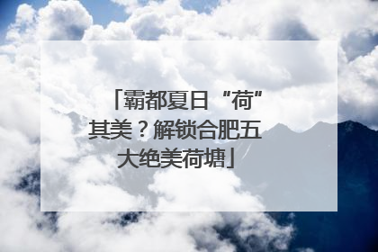 霸都夏日“荷”其美？解锁合肥五大绝美荷塘