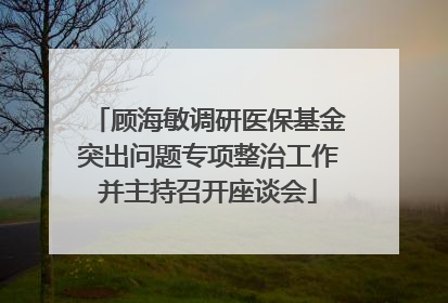 顾海敏调研医保基金突出问题专项整治工作并主持召开座谈会