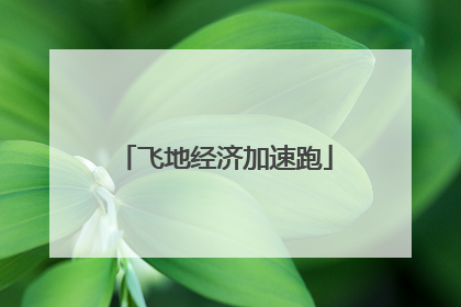 飞地经济加速跑