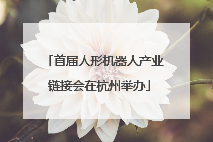 首届人形机器人产业链接会在杭州举办