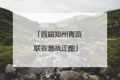 首届郑州青苗联赛激战正酣