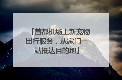 首都机场上新宠物出行服务，从家门一站抵达目的地