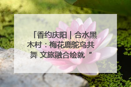香约庆阳｜合水黑木村：梅花鹿鸵鸟共舞 文旅融合绘就“诗与远方”