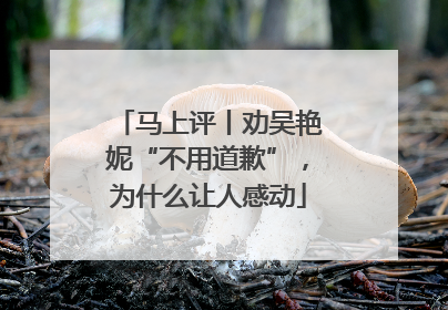 马上评丨劝吴艳妮“不用道歉”，为什么让人感动