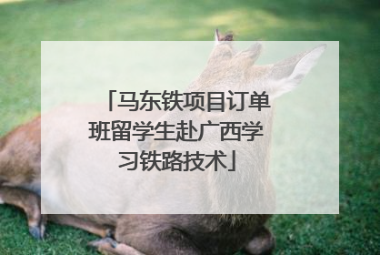 马东铁项目订单班留学生赴广西学习铁路技术