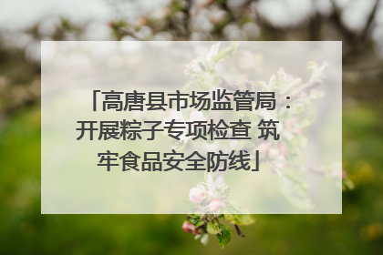高唐县市场监管局：开展粽子专项检查 筑牢食品安全防线