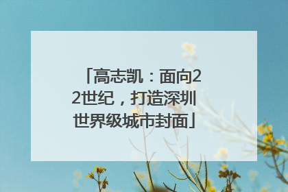 高志凯：面向22世纪，打造深圳世界级城市封面