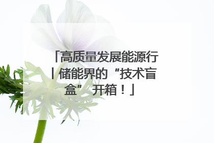 高质量发展能源行丨储能界的“技术盲盒” 开箱！