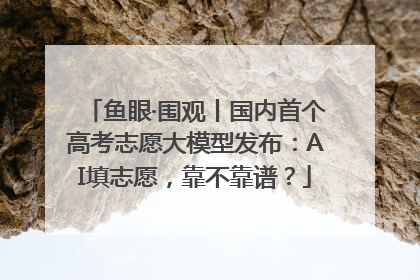鱼眼·围观丨国内首个高考志愿大模型发布：AI填志愿，靠不靠谱？
