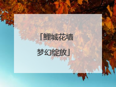 鲤城花墙 梦幻绽放