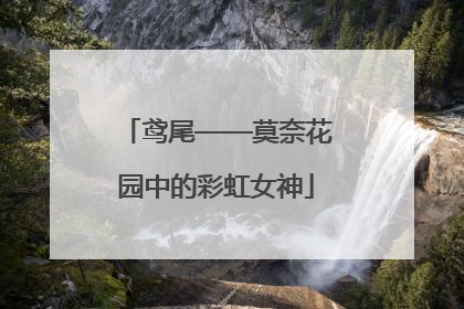 鸢尾——莫奈花园中的彩虹女神