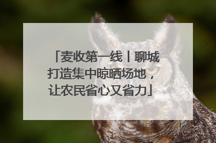 麦收第一线丨聊城打造集中晾晒场地，让农民省心又省力
