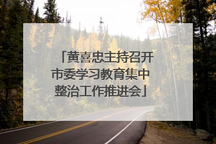黄喜忠主持召开市委学习教育集中整治工作推进会