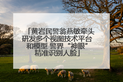 黄岩民警翁燕敏牵头研发多个视图技术平台和模型 警界“神眼”精准识别人脸