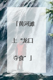 黄河滩上“龙口夺食”