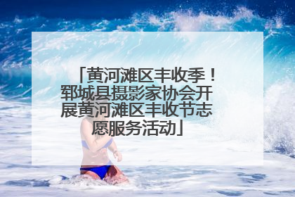 黄河滩区丰收季！郓城县摄影家协会开展黄河滩区丰收节志愿服务活动