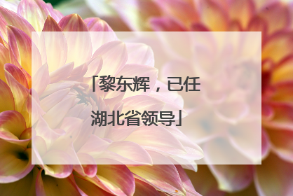 黎东辉，已任湖北省领导