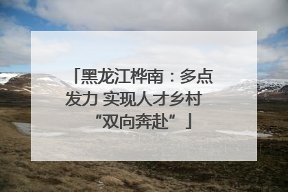 黑龙江桦南：多点发力 实现人才乡村“双向奔赴”