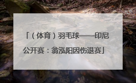 （体育）羽毛球——印尼公开赛：翁泓阳因伤退赛