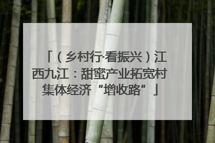 （乡村行·看振兴）江西九江：甜蜜产业拓宽村集体经济“增收路”