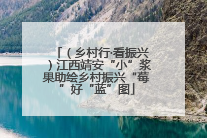 （乡村行·看振兴）江西靖安“小”浆果助绘乡村振兴“莓”好“蓝”图