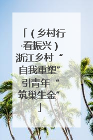（乡村行·看振兴）浙江乡村“自我重塑” 引青年“筑巢生金”