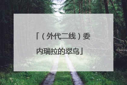 （外代二线）委内瑞拉的翠鸟