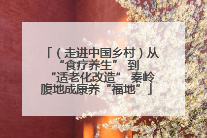 （走进中国乡村）从 “食疗养生” 到 “适老化改造” 秦岭腹地成康养“福地”
