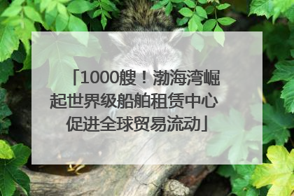 1000艘！渤海湾崛起世界级船舶租赁中心 促进全球贸易流动