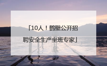 10人！鹤壁公开招聘安全生产坐班专家