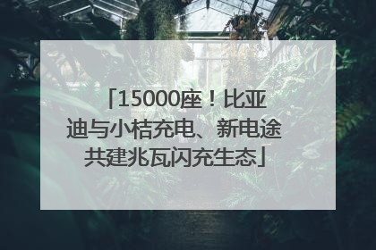 15000座！比亚迪与小桔充电、新电途共建兆瓦闪充生态