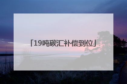 19吨碳汇补偿到位