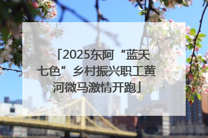 2025东阿“蓝天七色”乡村振兴职工黄河微马激情开跑