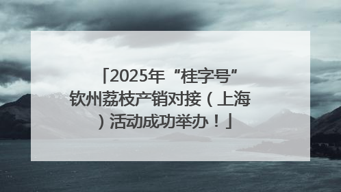 2025年“桂字号”钦州荔枝产销对接（上海）活动成功举办！