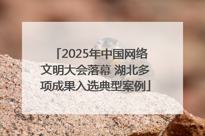 2025年中国网络文明大会落幕 湖北多项成果入选典型案例