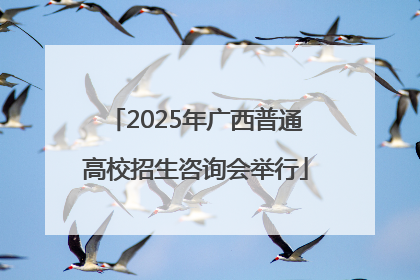 2025年广西普通高校招生咨询会举行
