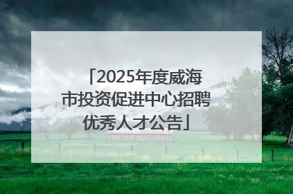 2025年度威海市投资促进中心招聘优秀人才公告