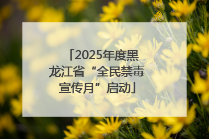 2025年度黑龙江省“全民禁毒宣传月”启动