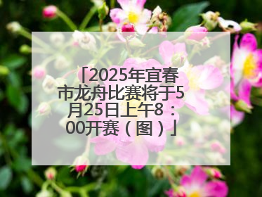 2025年宜春市龙舟比赛将于5月25日上午8：00开赛（图）
